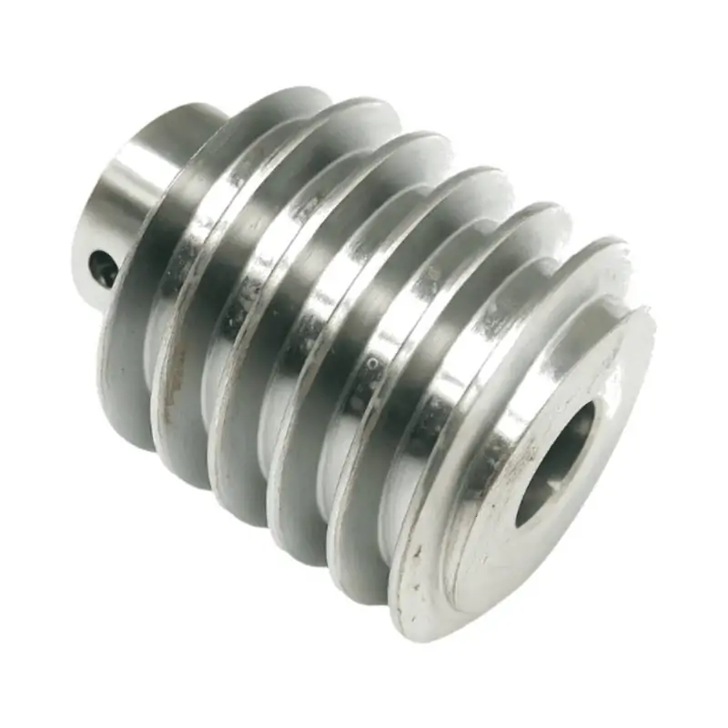 Nice Robus 1000 Compatible Worm Gear