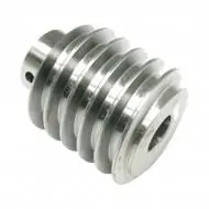 Nice Robus 1000 Compatible Worm Gear